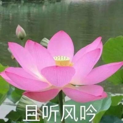 新华全媒+｜北方产粮大省全力抗旱保夏播
